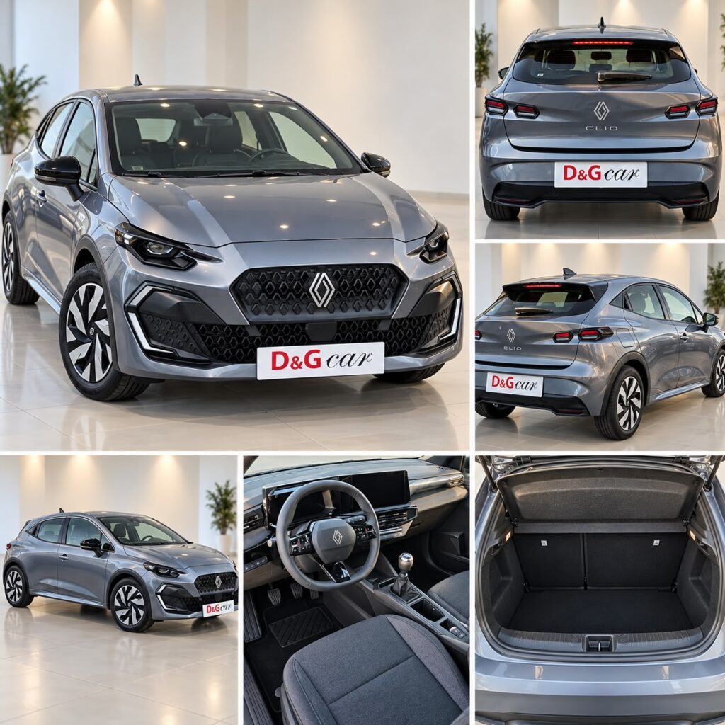 Renault Clio Grey